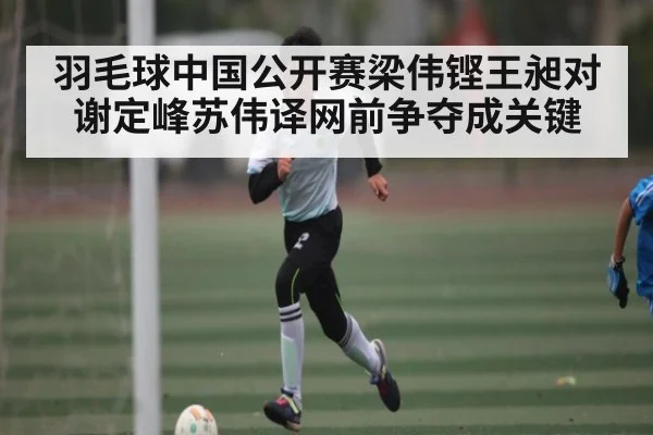 羽毛球中国公开赛梁伟铿王昶对谢定峰苏伟译网前争夺成关键